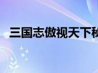 三国志傲视天下秘籍（傲视三国游戏秘籍）
