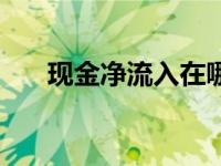 现金净流入在哪个表里（现金净流入）