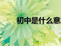 初中是什么意思（初衷是什么意思）