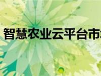 智慧农业云平台市场分析（智慧农业云平台）