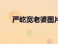 严屹宽老婆图片大全集（严屹宽老婆）