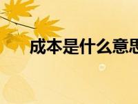 成本是什么意思呢（成本是什么意思）