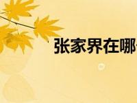 张家界在哪个省（张家界在哪）