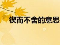 锲而不舍的意思是啥（锲而不舍的意思）
