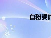 白粉婆的故事（白粉婆）