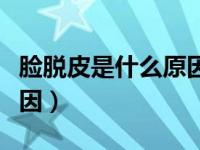 脸脱皮是什么原因怎样治疗（脸脱皮是什么原因）