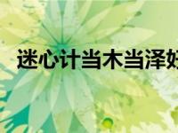 迷心计当木当泽好看吗（迷心计当木当泽）