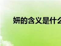 妍的含义是什么意思（尽开颜的意思）
