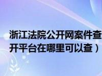 浙江法院公开网案件查询（广西法院阳光司法网案件流程公开平台在哪里可以查）