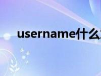 username什么意思中文（username）