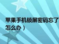 苹果手机锁屏密码忘了怎么办刷机（苹果手机锁屏密码忘了怎么办）