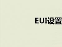 EUI设置（eui怎么设置）