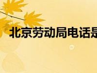北京劳动局电话是多少（北京劳动局电话）