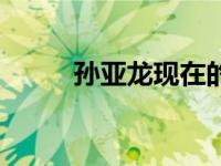 孙亚龙现在的妻子（孙亚龙老婆）