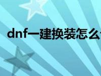 dnf一建换装怎么设置（dnf换装怎么设置）