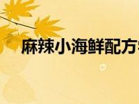 麻辣小海鲜配方学费（麻辣小海鲜配方）