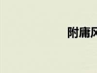附庸风雅录（附庸）