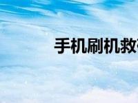 手机刷机救砖（手机救砖大师）