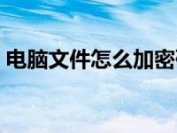 电脑文件怎么加密码锁（电脑文件怎么加密）