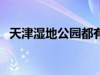 天津湿地公园都有哪些（天津公园有哪些）