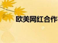 欧美网红合作平台（网红合作平台）