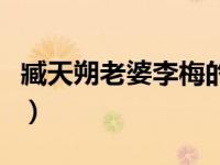 臧天朔老婆李梅的照片（臧天朔老婆李梅照片）