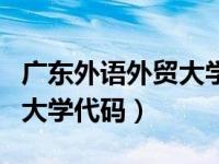 广东外语外贸大学代码是多少（广东外语外贸大学代码）