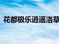 花都极乐逍遥洛草洛青衣2（花都极乐逍遥）