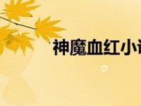 神魔血红小说皮皮（神魔 血红）