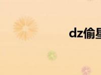 dz偷星宏（偷星宏）