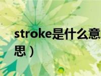 stroke是什么意思啊英语（stroke是什么意思）
