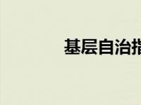 基层自治指什么（基层自治）