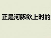 正是河豚欲上时的上一句（正是河豚欲上时）