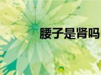 腰子是肾吗（腰子是哪个部位）