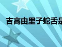 吉高由里子蛇舌是真的（吉高由里子男友）