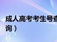 成人高考考生号查询方式（成人高考考生号查询）