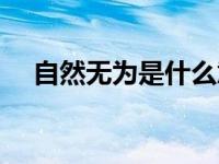 自然无为是什么意思（无为是什么意思）