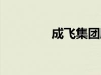 成飞集团股票（成飞集团）