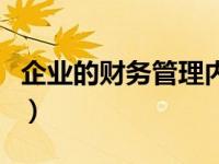 企业的财务管理内容（企业财务管理主要内容）