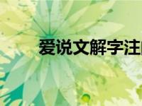 爱说文解字注的意思（爱说文解字）