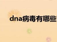 dna病毒有哪些高中（dna病毒有哪些）