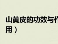 山黄皮的功效与作用新闻（山黄皮的功效与作用）