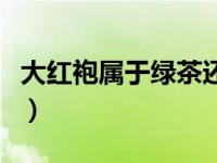 大红袍属于绿茶还是红茶（英红九号是什么茶）