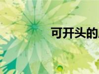 可开头的成语（可的成语）