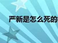严新是怎么死的视频（严新是怎么死的）