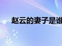 赵云的妻子是谁?（赵云的妻子叫什么）