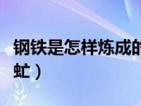 钢铁是怎样炼成的牛虻（钢铁是怎样炼成的牛虻）