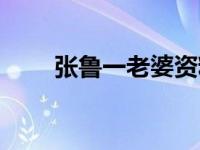 张鲁一老婆资料（张鲁一老婆照片）