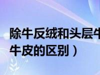 除牛反绒和头层牛皮哪个好（除牛反绒和头层牛皮的区别）