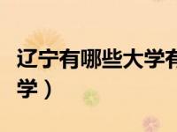 辽宁有哪些大学有心理学专业（辽宁有哪些大学）